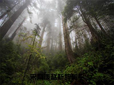 宋梨漾赵靳辞小说免费大结局全集免费阅读 宋梨漾赵靳辞章节目录