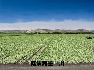 陆清菀墨璟川(陆清菀墨璟川)全文免费读无弹窗大结局_陆清菀墨璟川免费小说无弹窗最新章节列表_笔趣阁