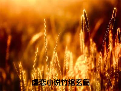 竹绾玄觞全文免费阅读无弹窗大结局-竹绾玄觞川在线阅读