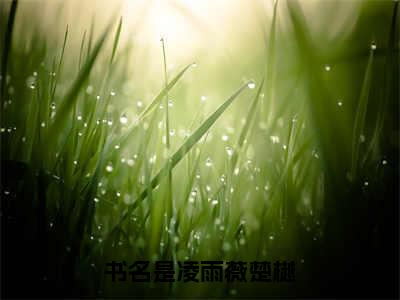 凌雨薇楚樾热门小说最新章节免费阅读-完结版全文凌雨薇楚樾小说在线阅读