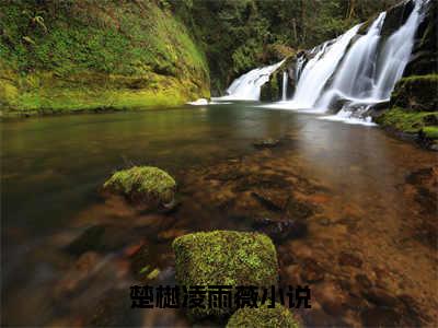 楚樾凌雨薇（楚樾凌雨薇）全文免费阅读无弹窗大结局_楚樾凌雨薇免费最新章节列表_笔趣阁