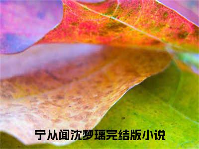 宁从闻沈梦璃（宁从闻沈梦璃）全文免费阅读无弹窗大结局_(宁从闻沈梦璃免费阅读)宁从闻沈梦璃无弹窗最新章节列表_笔趣阁