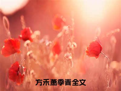 方禾萧季青人气小说在线阅读-正版小说《方禾萧季青》方禾萧季青全文阅读