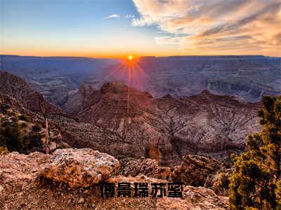 傅景瑞苏蜜小说（傅景瑞苏蜜）全文免费阅读无弹窗_傅景瑞苏蜜全文免费阅读无弹窗最新章节列表