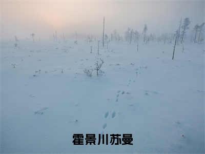 （热推新书）霍景川苏曼完整版免费小说无弹窗阅读_霍景川苏曼最新章节列表_笔趣阁（明撩诱哄，大佬的小可怜又软又娇）