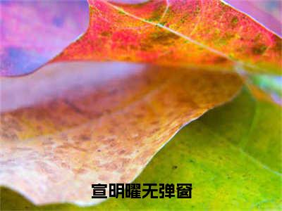 惊！嫡公主她每天都在逆天改命！小说（宣明曜）免费阅读-宣明曜（惊！嫡公主她每天都在逆天改命！）全章节最新阅读