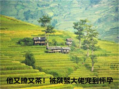 小说谢京墨虞之琬（他又撩又茶！被桀骜大佬宠到怀孕全文免费阅读）完结阅读_他又撩又茶！被桀骜大佬宠到怀孕全文免费阅读免费看全文