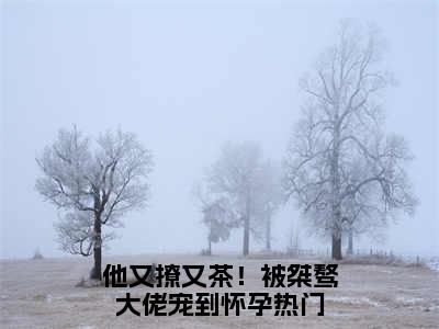 谢京墨虞之琬（他又撩又茶！被桀骜大佬宠到怀孕）全文免费阅读无弹窗大结局_（谢京墨虞之琬）他又撩又茶！被桀骜大佬宠到怀孕章节列表