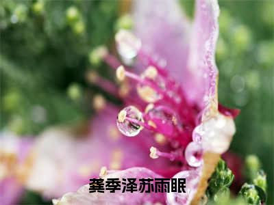 龚季泽苏雨眠全文免费大结局小说-龚季泽苏雨眠全文最新章节阅读