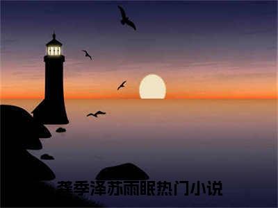 龚季泽苏雨眠小说（龚季泽苏雨眠）全文免费阅读无弹窗大结局_龚季泽苏雨眠最新章节列表_