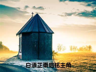 白清芷秦启铭全文免费阅读_（白清芷秦启铭免费阅读无弹窗）白清芷秦启铭最新章节列表笔趣阁