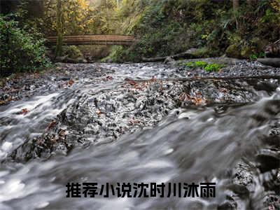 沈时川沐雨全文免费阅读无弹窗大结局_(沈时川沐雨小说)沈时川沐雨无弹窗最新章节列表