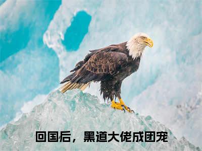 江宥礼林清也全文免费阅读（回国后，黑道大佬成团宠免费阅读无弹窗）江宥礼林清也最新章节列表_笔趣阁