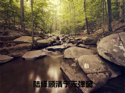 于星河璀璨中分离免费小说-于星河璀璨中分离完结版在线阅读