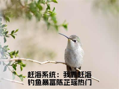 赶海系统：我靠赶海钓鱼暴富陈芷瑶最新更新热门榜单小说（赶海系统：我靠赶海钓鱼暴富陈芷瑶全集小说完整版笔趣阁）赶海系统：我靠赶海钓鱼暴富陈芷瑶全文阅读