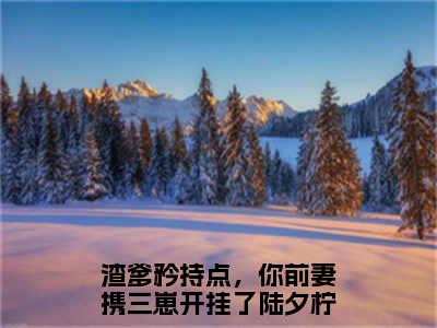 渣爹矜持点，你前妻携三崽开挂了陆夕柠（渣爹矜持点，你前妻携三崽开挂了陆夕柠）全文免费阅读无弹窗大结局_（渣爹矜持点，你前妻携三崽开挂了陆夕柠）渣爹矜持点，你前妻携三崽开挂了陆夕柠最新章节列表_笔趣阁