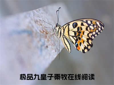 极品九皇子秦牧新上精彩热文小说全文-极品九皇子秦牧完整版全文在线赏析