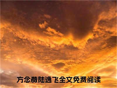 方念薇陆逸飞（方念薇陆逸飞）免费阅读无弹窗大结局-方念薇陆逸飞免费阅读大结局最新章节列表_笔趣阁