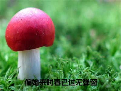 肖谨川周薇在线阅读（偏她来时春已过）全文免费阅读无弹窗大结局