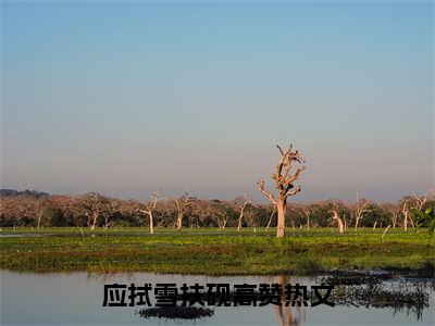 苍山终是负拭雪（应拭雪扶砚）小说全文免费阅读无弹窗大结局_（应拭雪扶砚免费阅读）苍山终是负拭雪最新章节列表笔趣阁