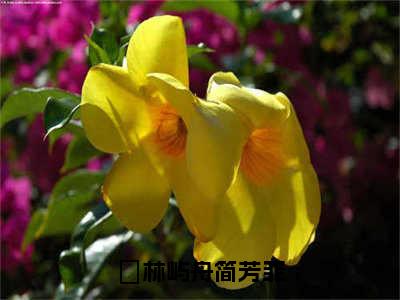 林屿舟简芳菲（林屿舟简芳菲：结局+番外）全文最新免费阅读无弹窗_林屿舟简芳菲精选章节小说阅读_笔趣阁（林屿舟简芳菲：结局+番外）