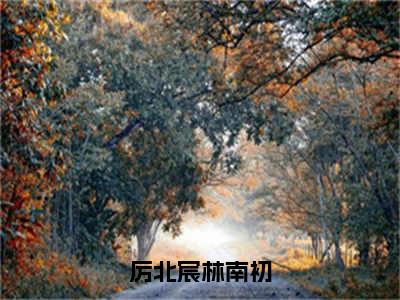 (厉北宸林南初:结局+番外)结局番外（厉北宸林南初）全文免费阅读无弹窗大结局_(厉北宸林南初:结局+番外)最新章节列表_笔趣阁（厉北宸林南初）