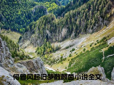 何曾风起旧梦散颜茵（何曾风起旧梦散颜茵）全文免费阅读无弹窗大结局_何曾风起旧梦散颜茵小说在线阅读全文