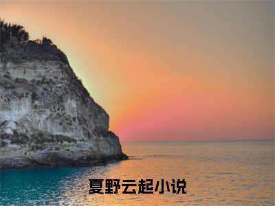 夏野云起小说(顾云起夏野)（夏野云起）在线畅读阅读连载中