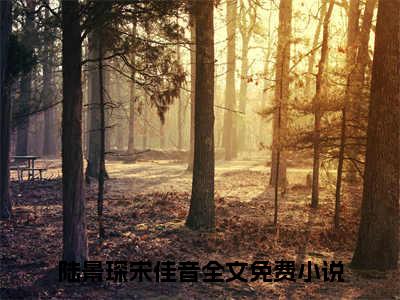 陆景琛宋佳音：全文+后续（落青梅佛前几度相思泪）终章阅读全文无删减_陆景琛宋佳音：全文+后续全文免费阅读无弹窗大结局（落青梅佛前几度相思泪）