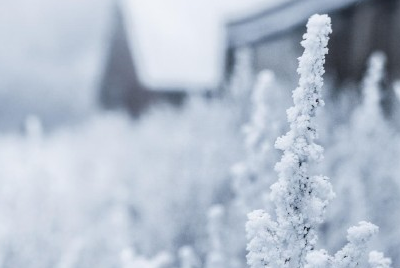 冬天下雪天文案唯美带图片 抖音最火下雪天说说