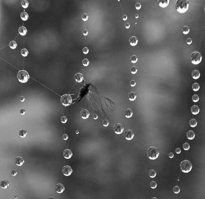 蛮荒血雨小说by禅破人生夜凡欧阳若曦无错版阅读