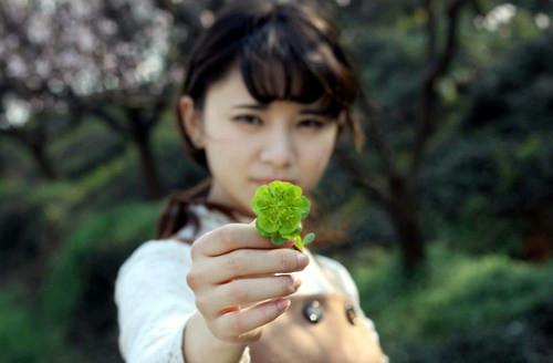 《冷心的眼泪陈安朱珠》抖音热文小说免费阅读全文_冷心的眼泪陈安朱珠在线阅读完结版