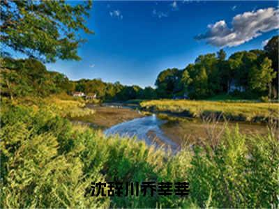 （热推新书）《沈辞川乔莘莘》乔莘莘沈辞川无弹窗阅读_沈辞川乔莘莘最新章节列表_笔趣阁