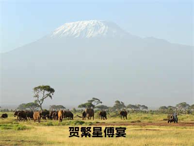 贺繁星傅宴免费阅读无弹窗最新章节列表-（傅宴贺繁星）全文免费阅读大结局笔趣阁（傅宴贺繁星）