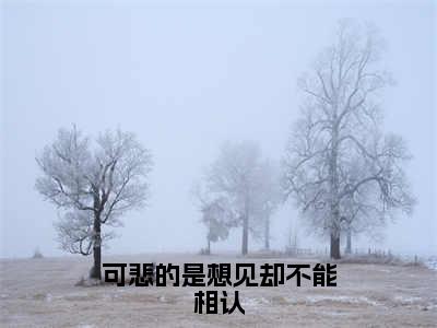 可悲的是想见却不能相认全网首发最新小说-苏韶傅子煜全文在线免费阅读