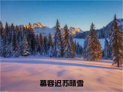 小说《慕容迟苏晴雪》全文免费阅读无弹窗-苏晴雪慕容迟小说全文在线赏析_笔趣阁