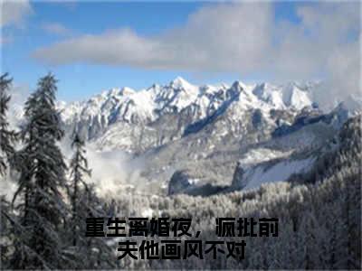 （热推新书）《重生离婚夜，疯批前夫他画风不对》谢宴时黎雪卿-热推谢宴时黎雪卿无弹窗阅读重生离婚夜，疯批前夫他画风不对在线阅读