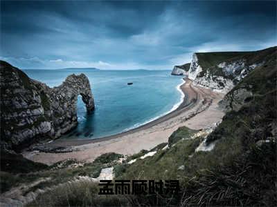 孟雨顾时浔小说大结局精彩推荐，顾时浔孟雨全文完整版在线阅读