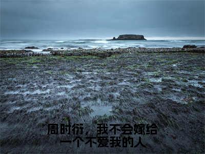 倪宥安周时衍（完整版）热文小说阅读-倪宥安周时衍全文抖音热推