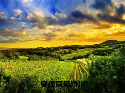 夏栀南盛景川（盛景川夏栀南）小说全文免费阅读无弹窗_（盛景川夏栀南）夏栀南盛景川小说全文免费阅读最新章节列表笔趣阁（盛景川夏栀南）