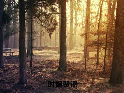 贺湛时烟小说免费阅读无弹窗《时烟贺湛》_时烟贺湛全文阅读贺湛时烟