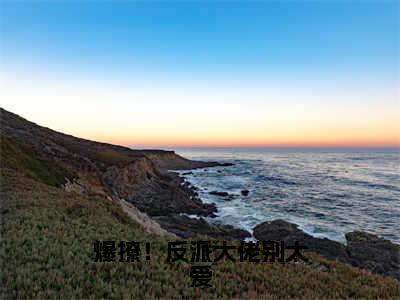 陆峥野林妤笙爆撩！反派大佬别太爱全文免费完整版,陆峥野林妤笙最新章节完整版阅读