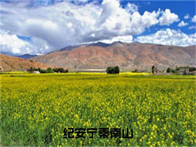 纪安宁秦南山(秦南山纪安宁)全文免费阅读无弹窗大结局_(秦南山纪安宁免费阅读全文大结局)纪安宁秦南山最新章节列表_笔趣阁（纪安宁秦南山）