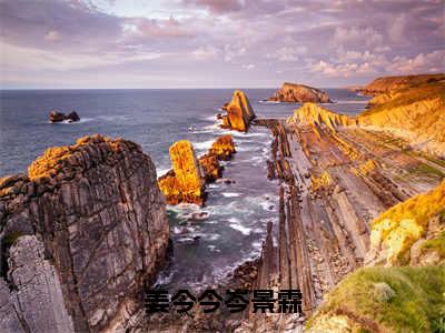 姜今今岑景霖小说（岑景霖姜今今）全文免费阅读大结局无删减_（岑景霖姜今今）姜今今岑景霖小说最新章节列表_笔趣阁（岑景霖姜今今）