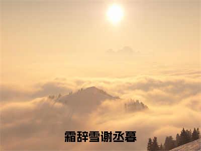 (霜辞雪谢丞暮抖音小说)谢丞暮霜辞雪小说全文阅读免费