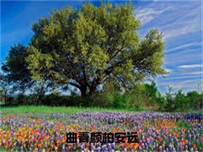 曲青颜柏安远（柏安远曲青颜）全文免费阅读无弹窗大结局_（柏安远曲青颜）章节列表_笔趣阁