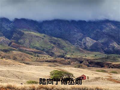 陆向宁傅丞勋（傅丞勋陆向宁）正版小说最新章节在线阅读_（傅丞勋陆向宁全文免费阅读无弹窗）