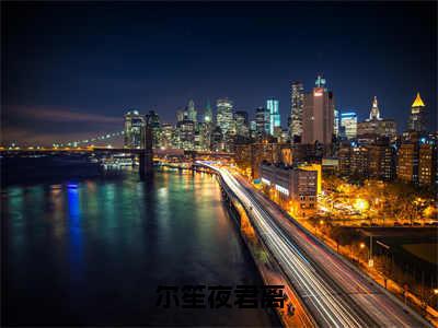 夜君离尔笙小说在线阅读（尔笙夜君离）全文免费阅读无弹窗大结局_夜君离尔笙小说免费最新章节列表_笔趣阁（尔笙夜君离）