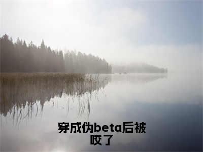 穿成伪beta后被咬了多人追热门小说 越斐最新章节免费阅读