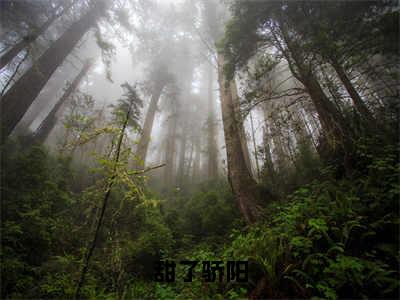 甜了骄阳（余榆路闻景）小说免费阅读-甜了骄阳（余榆路闻景）已完结全集大结局小说